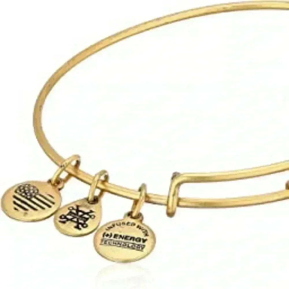 Alex and Ani new tags